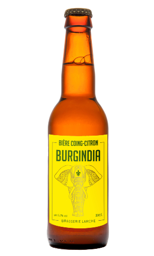 BURGINDIA COING CITRON